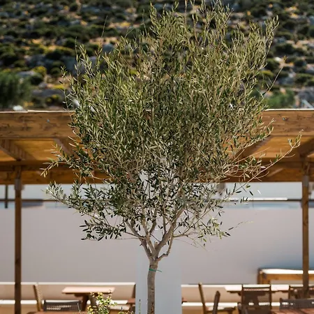 מלון Analeia Luxury - Adults Only